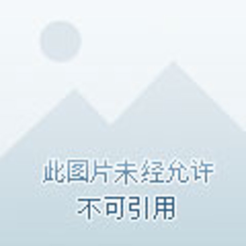 连衣裙批发行业：新趋势与市场洞察